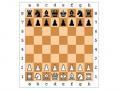 Chess Games